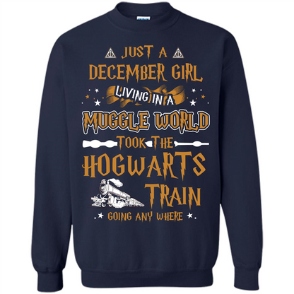 Harry Potter T-shirt Just A December Girl Living In A Muggle World   