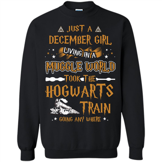 Harry Potter T-shirt Just A December Girl Living In A Muggle World Black S 